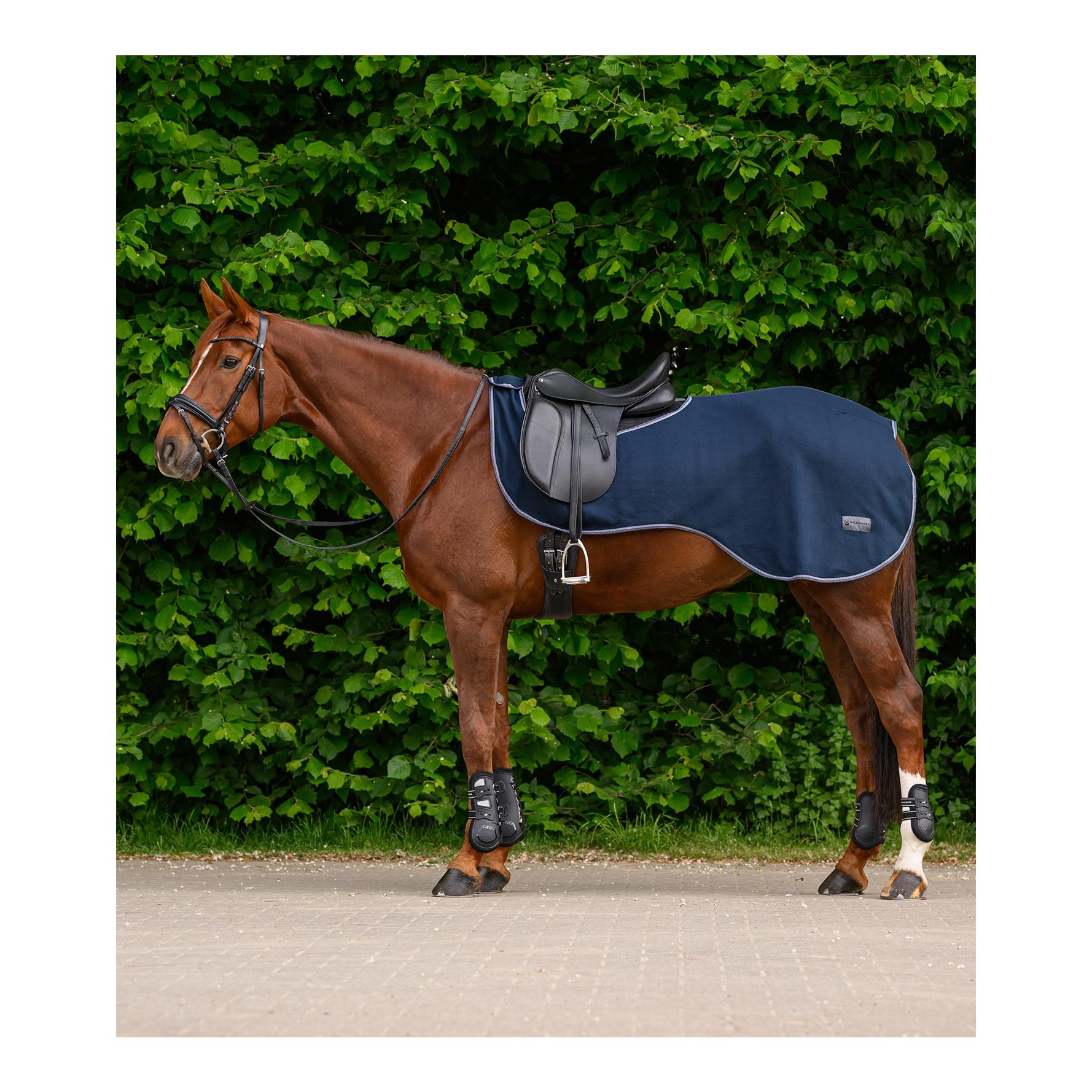 Waldhausen Ausreitdecke ECONOMIC 
