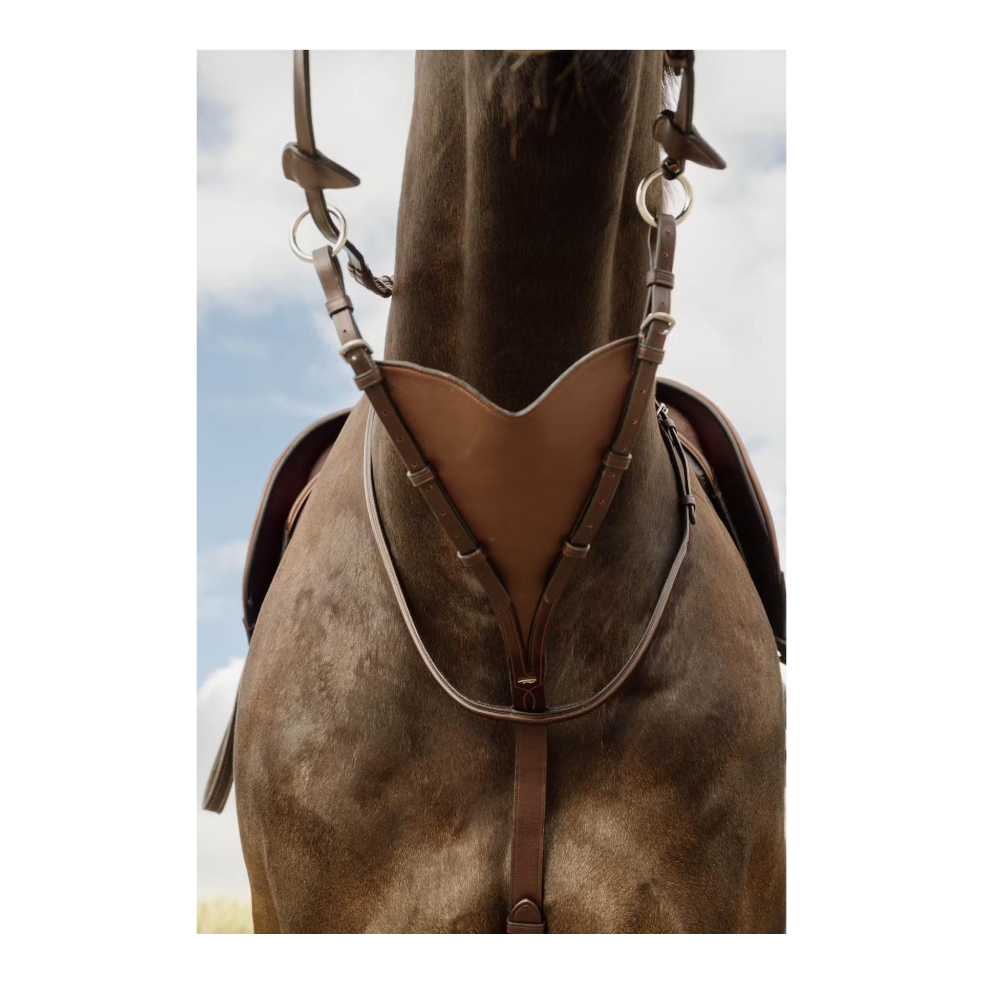 Bib-Martingal aus weichem Leder Bib-Martingal aus weichem Leder