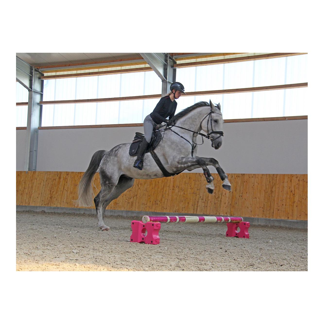 Growi Cavaletti-Block Aaron