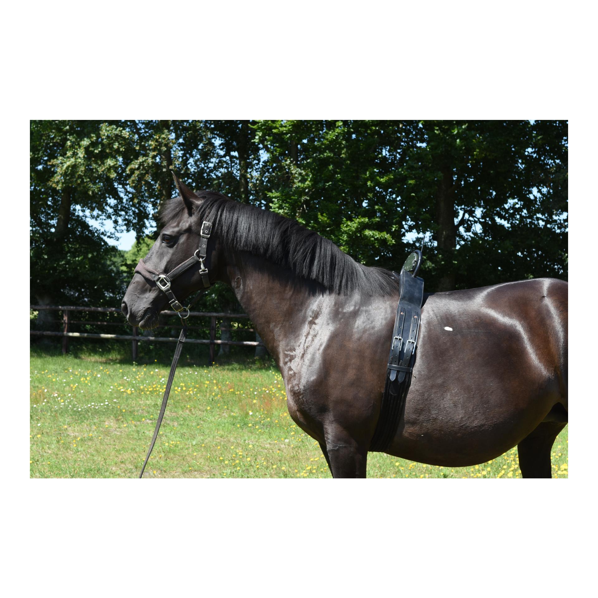 Birth Alarm Birth Alarm Classic