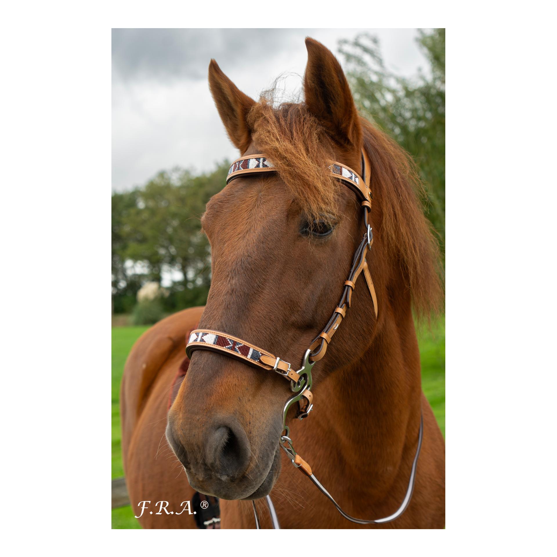 Western Hackamore esprit