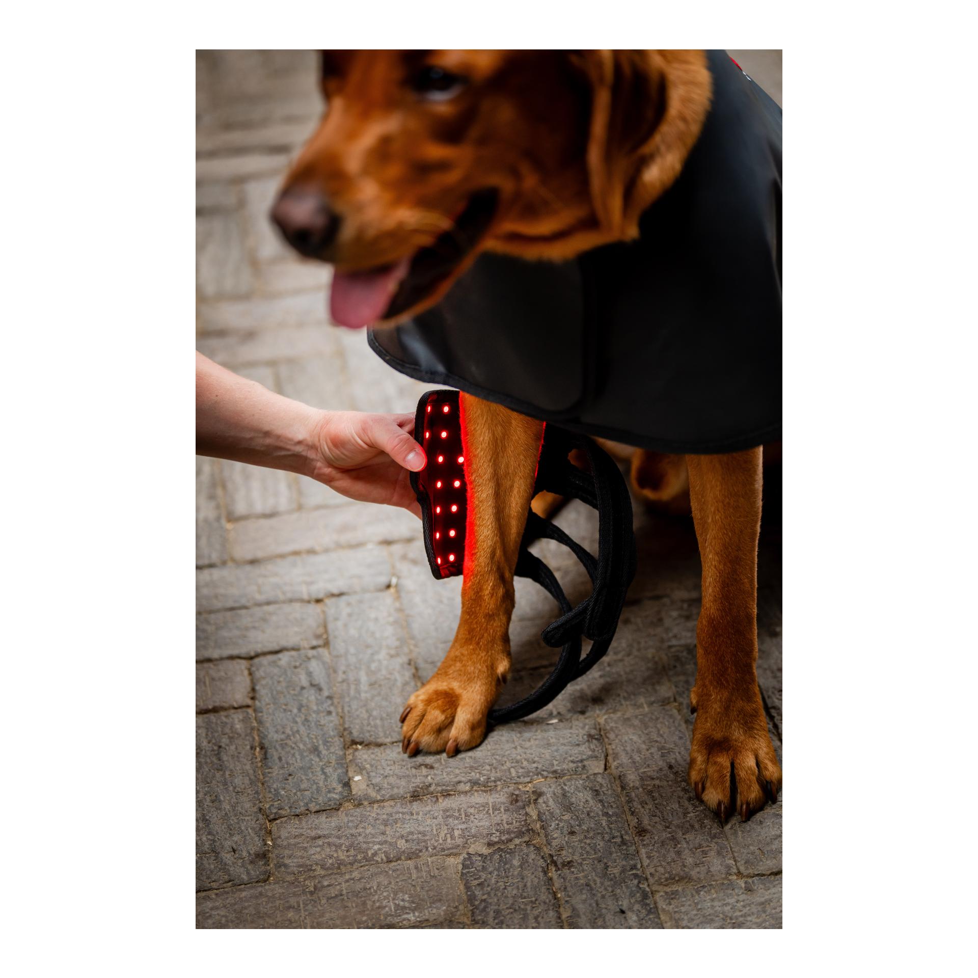 Horseware LED Red Light Therapy Pet Leg Wraps Pair
