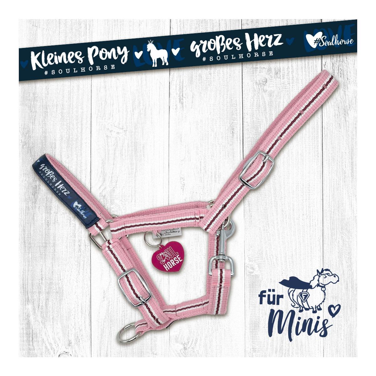 Halfter Shetty & Mini-Shetty