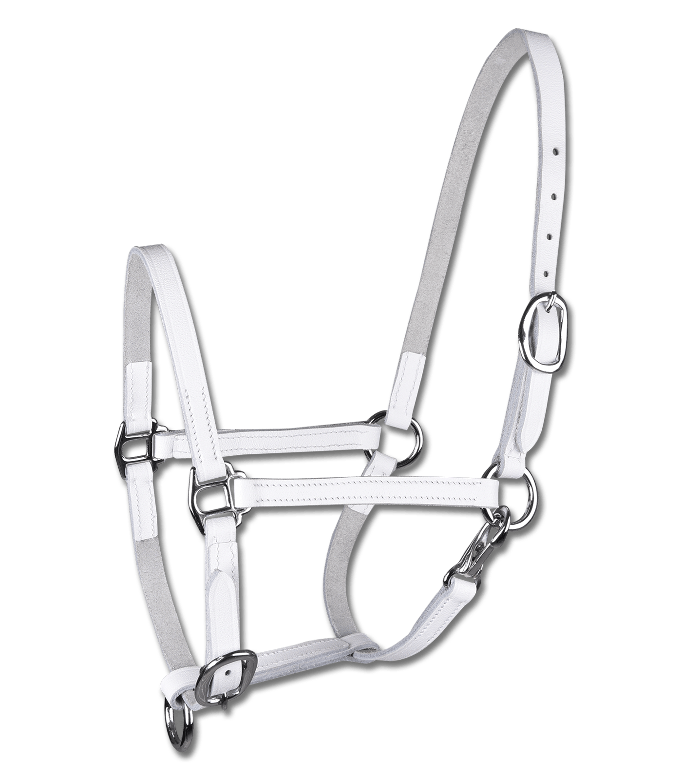 Fohlenvorführhalfter Leder