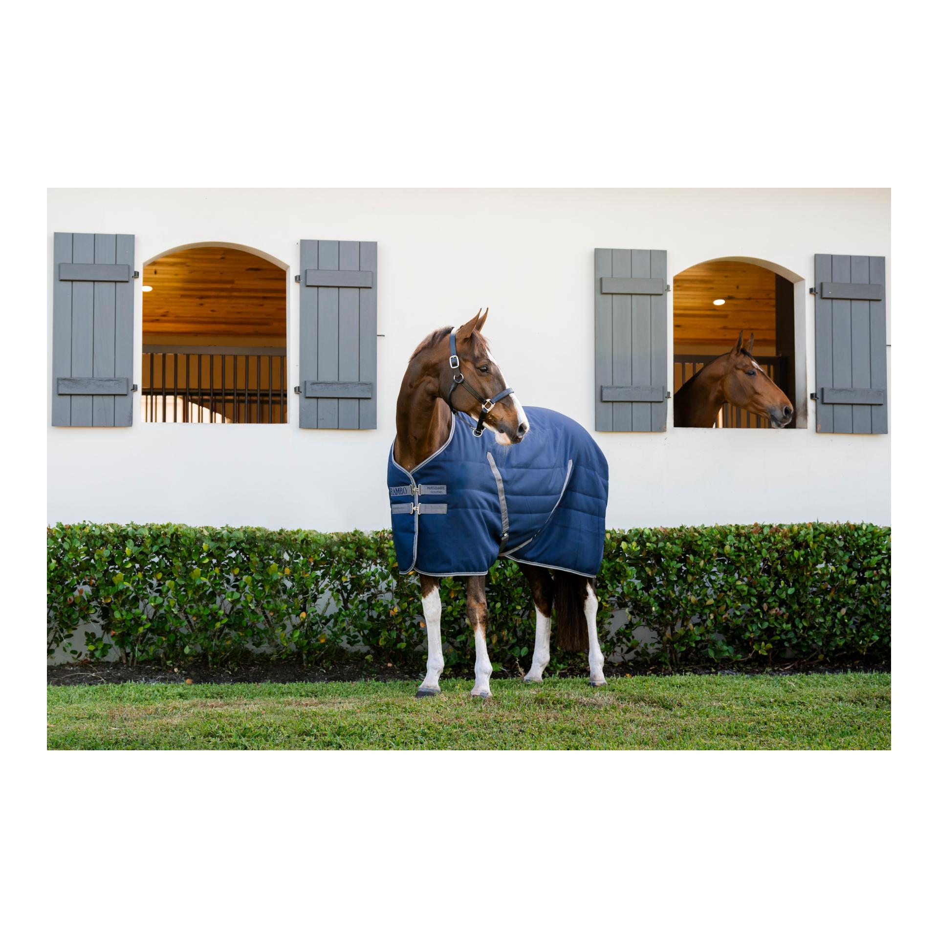 Stalldecke Rambo 100g