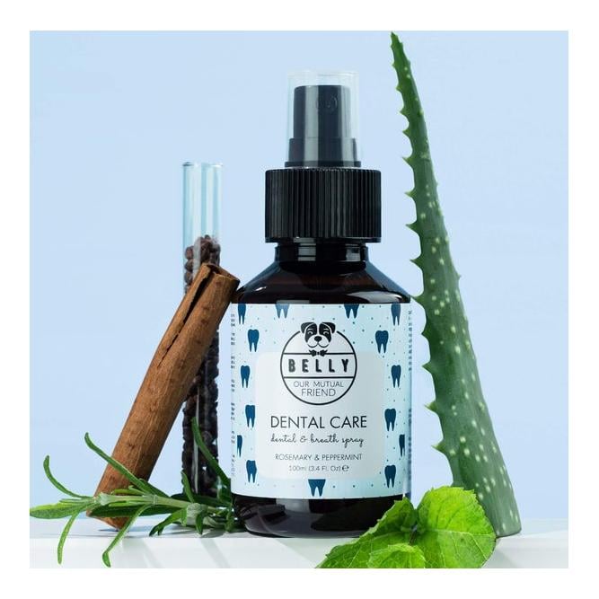 Zahnpflege Dental Care Spray