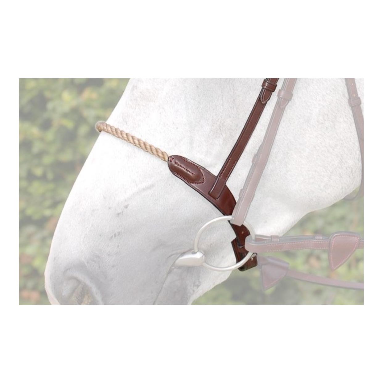 Rope Reithalfter - braun