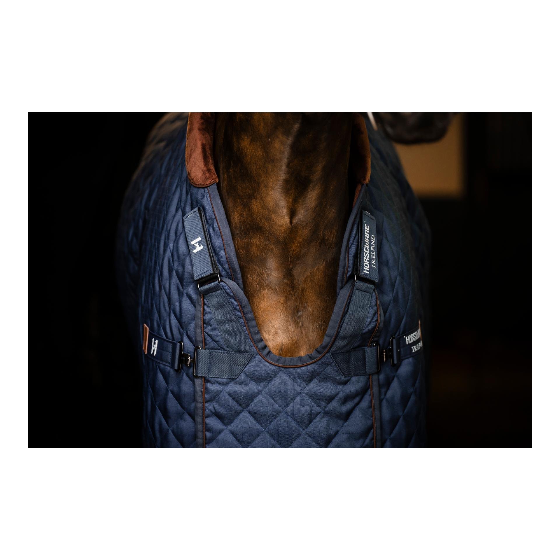 Horseware Signature Stable 200g