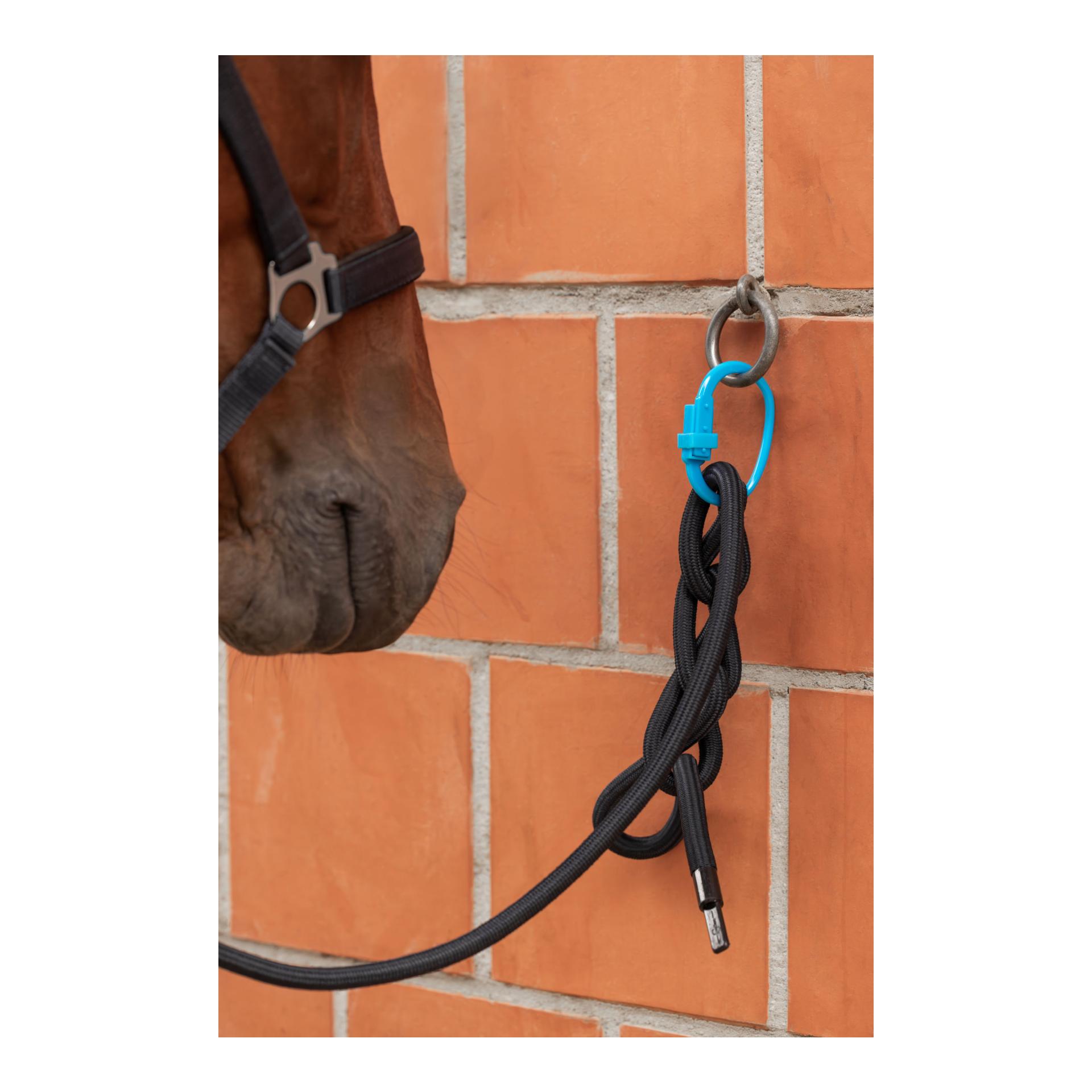 Kerbl Sicherheitsanbindering  3er Set