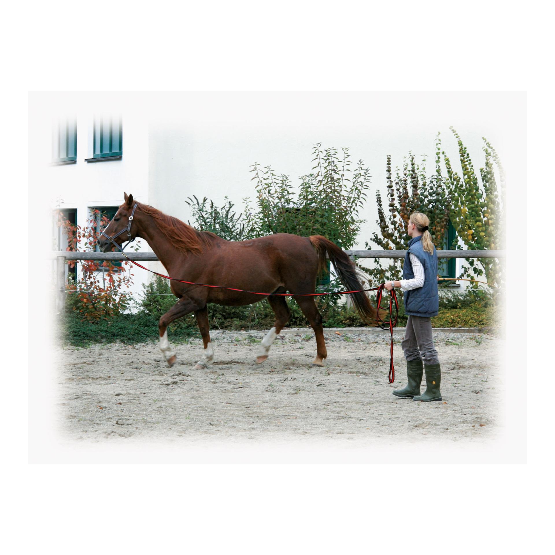 Longierleine Softlonge 8m - schwarz/rot Longierleine Softlonge 8m - schwarz/rot