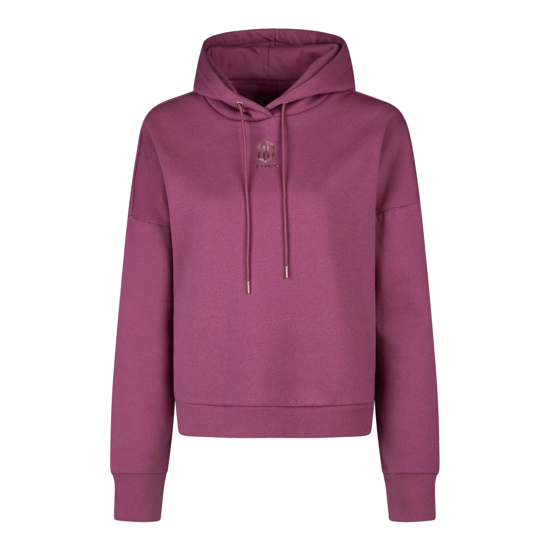 Hoodie Sparkle Heritage 25/26