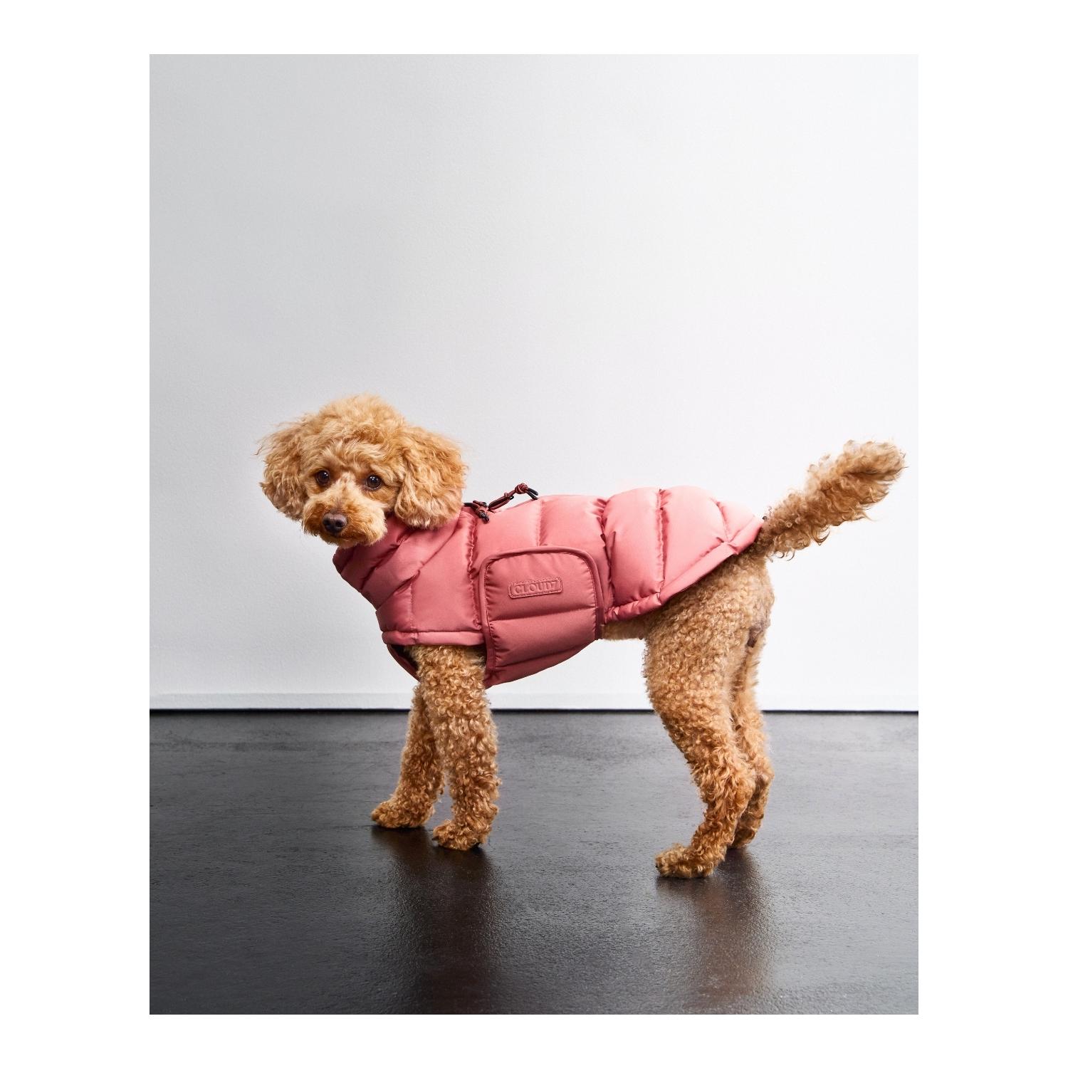 Cloud 7 Winter Hundemantel Alaska Regular