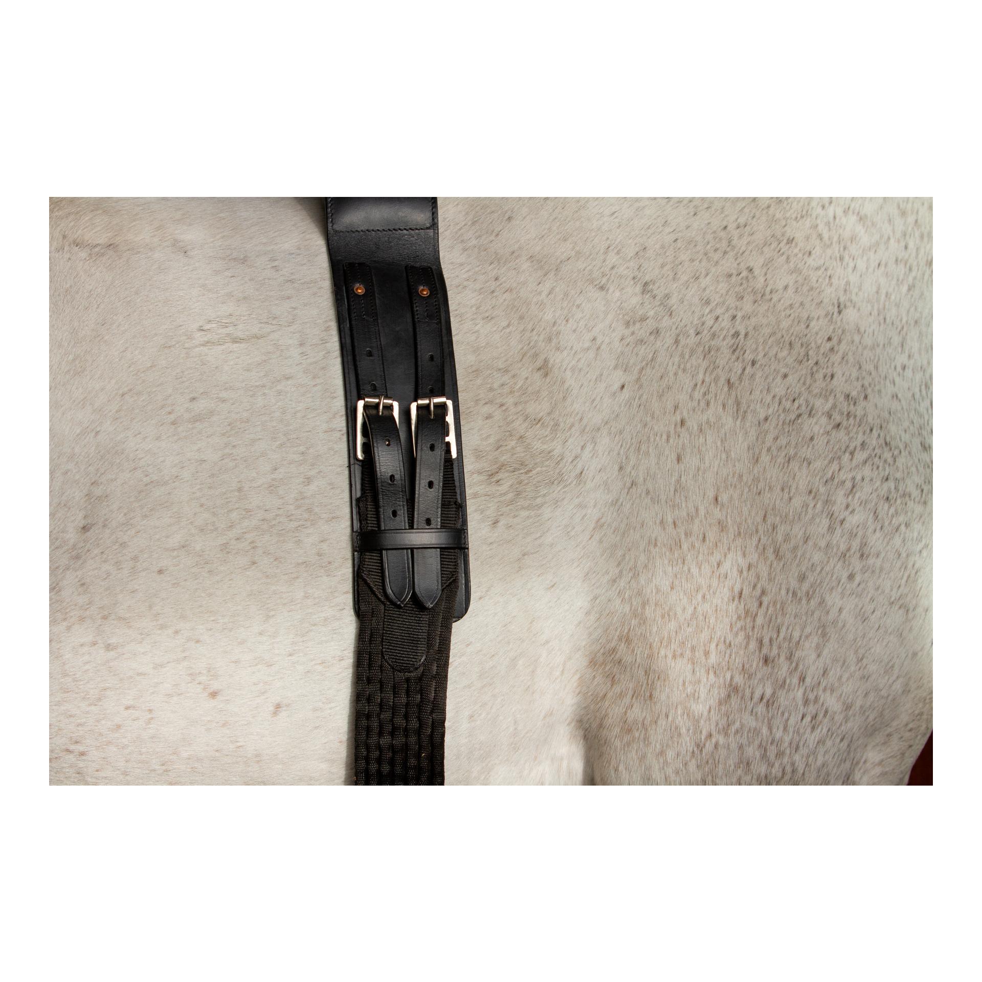 Birth Alarm Set - Birth Alarm Mobile 2.0 inkl. Überrollbügel