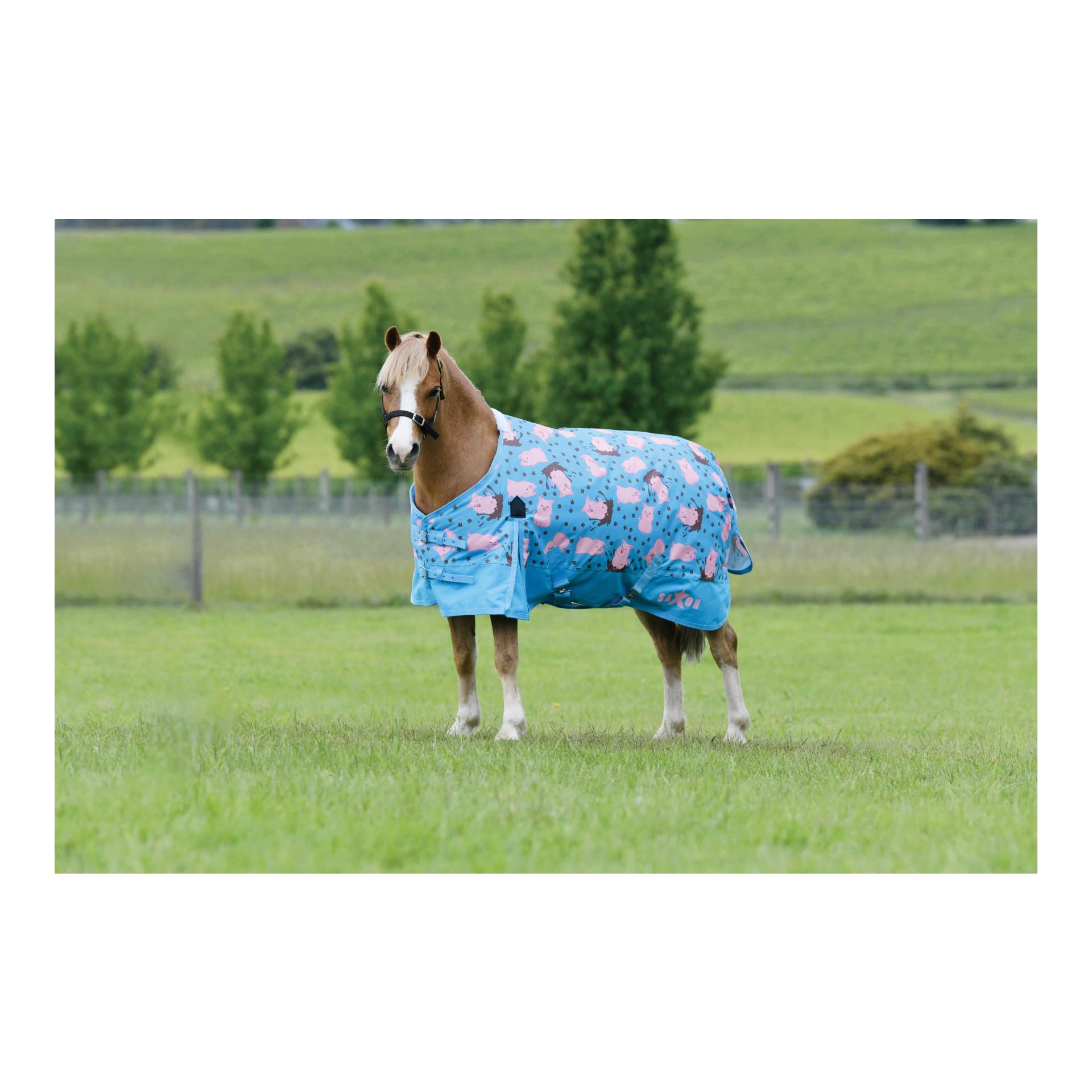 Weidedecke Pony 180g Weidedecke Pony 180g