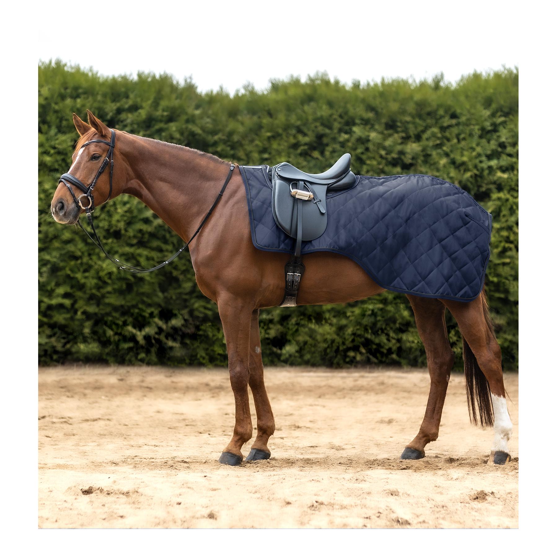 Nierendecke Exclusive