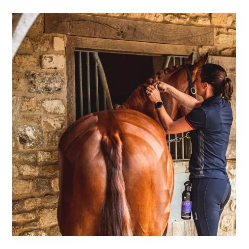 Spray pour crinière Dermacoat