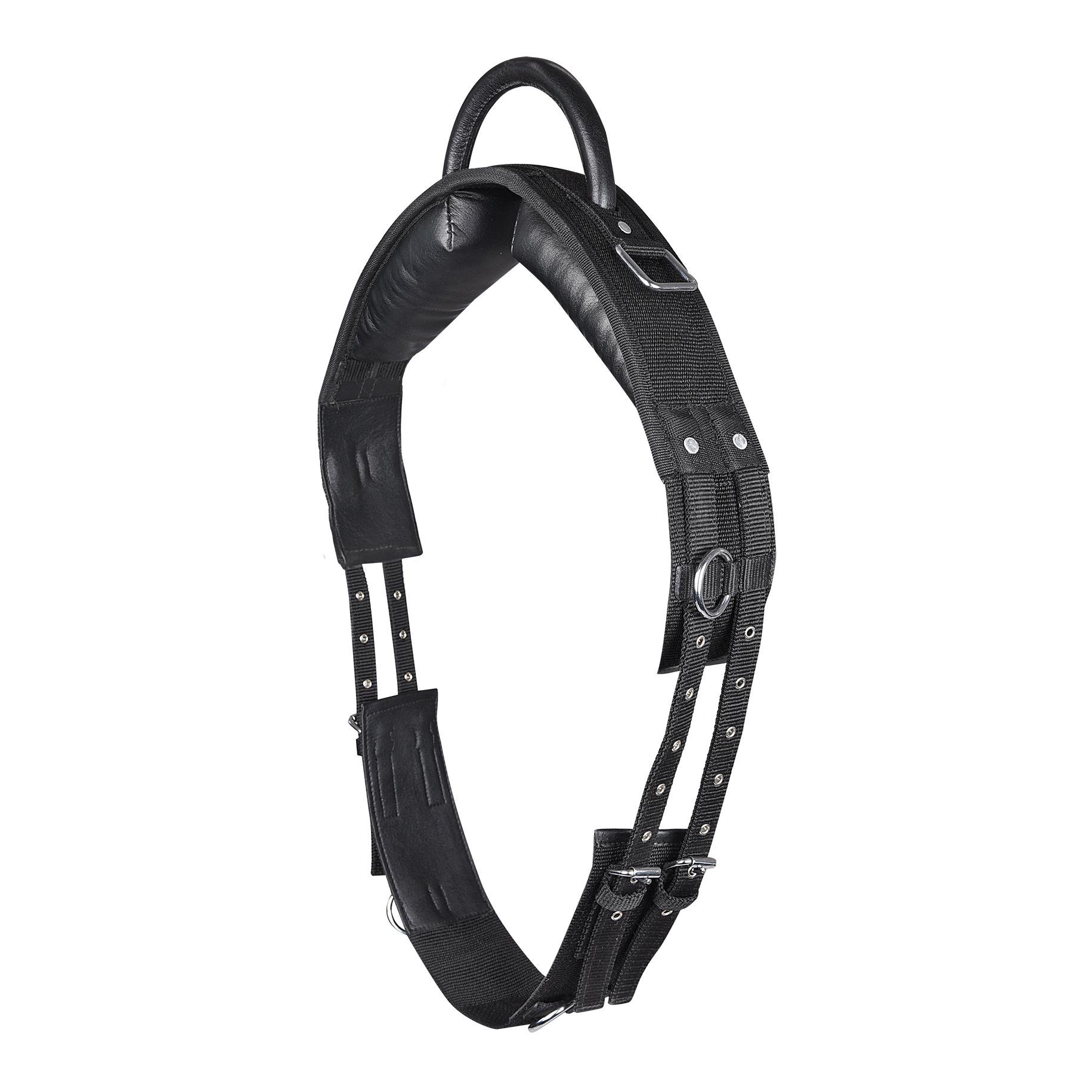 Longiergurt mit Handgriff