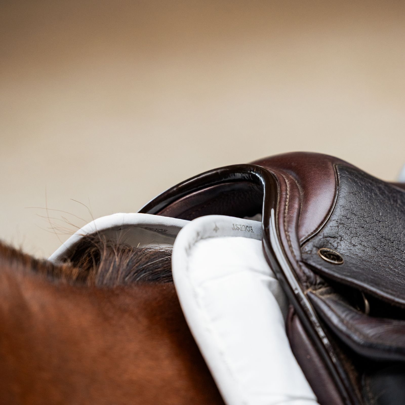 EQuest Equest Move Pad