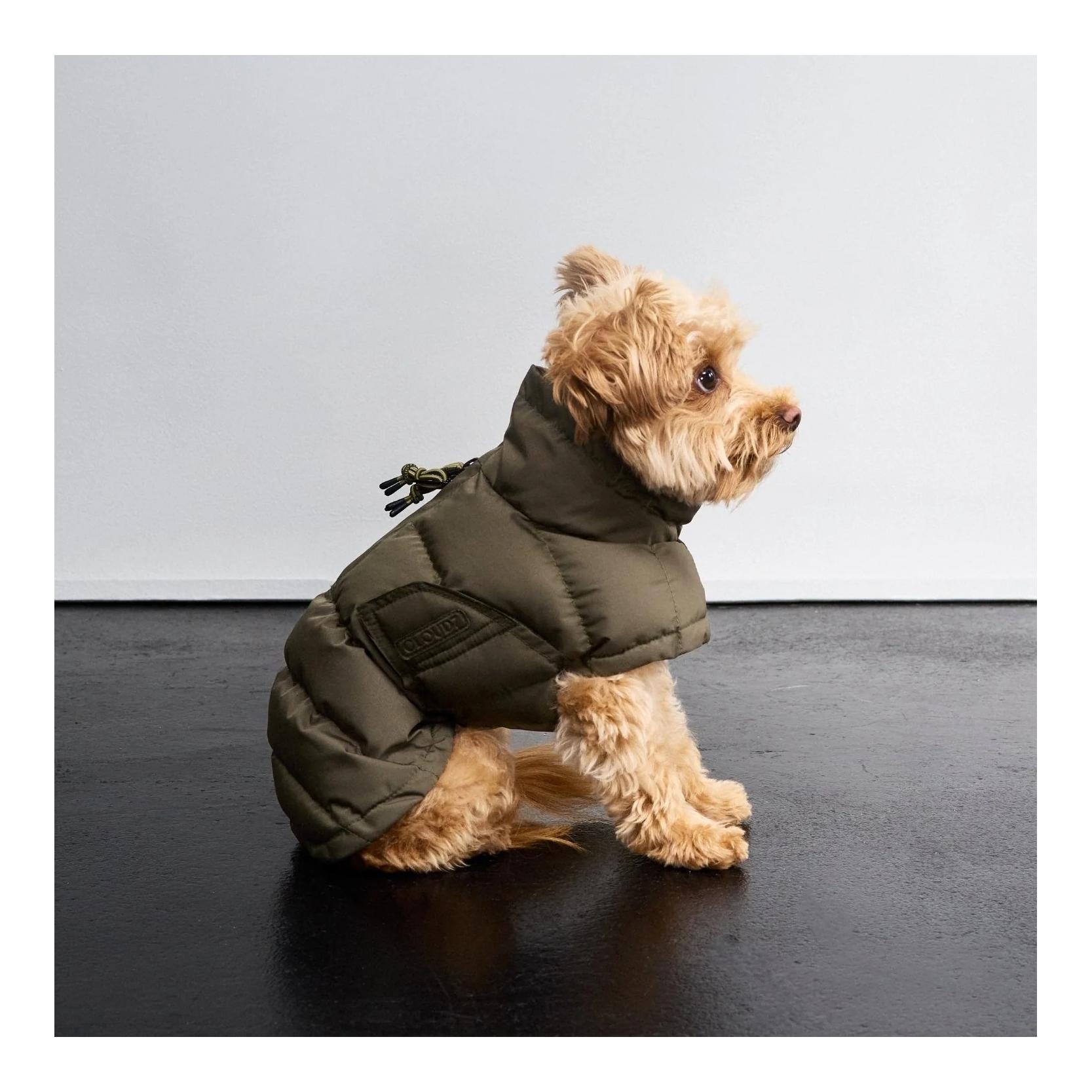 Winter Hundemantel Everest Regular