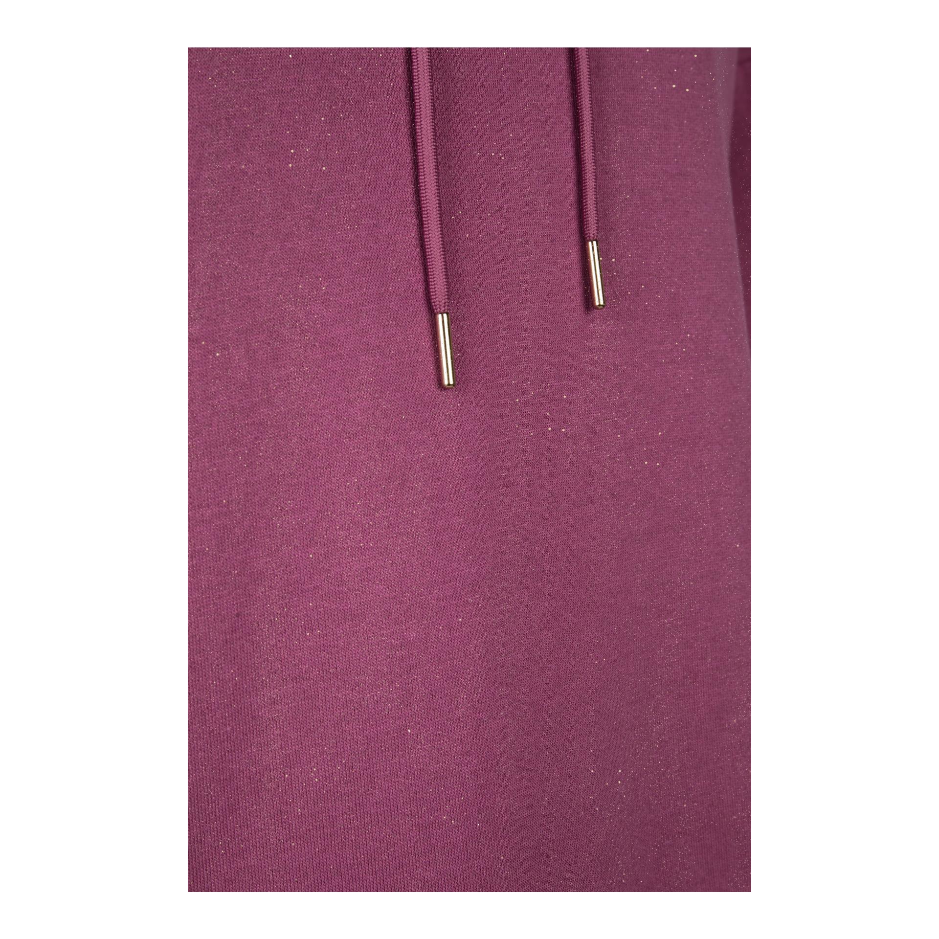 Hoodie Sparkle Heritage 25/26