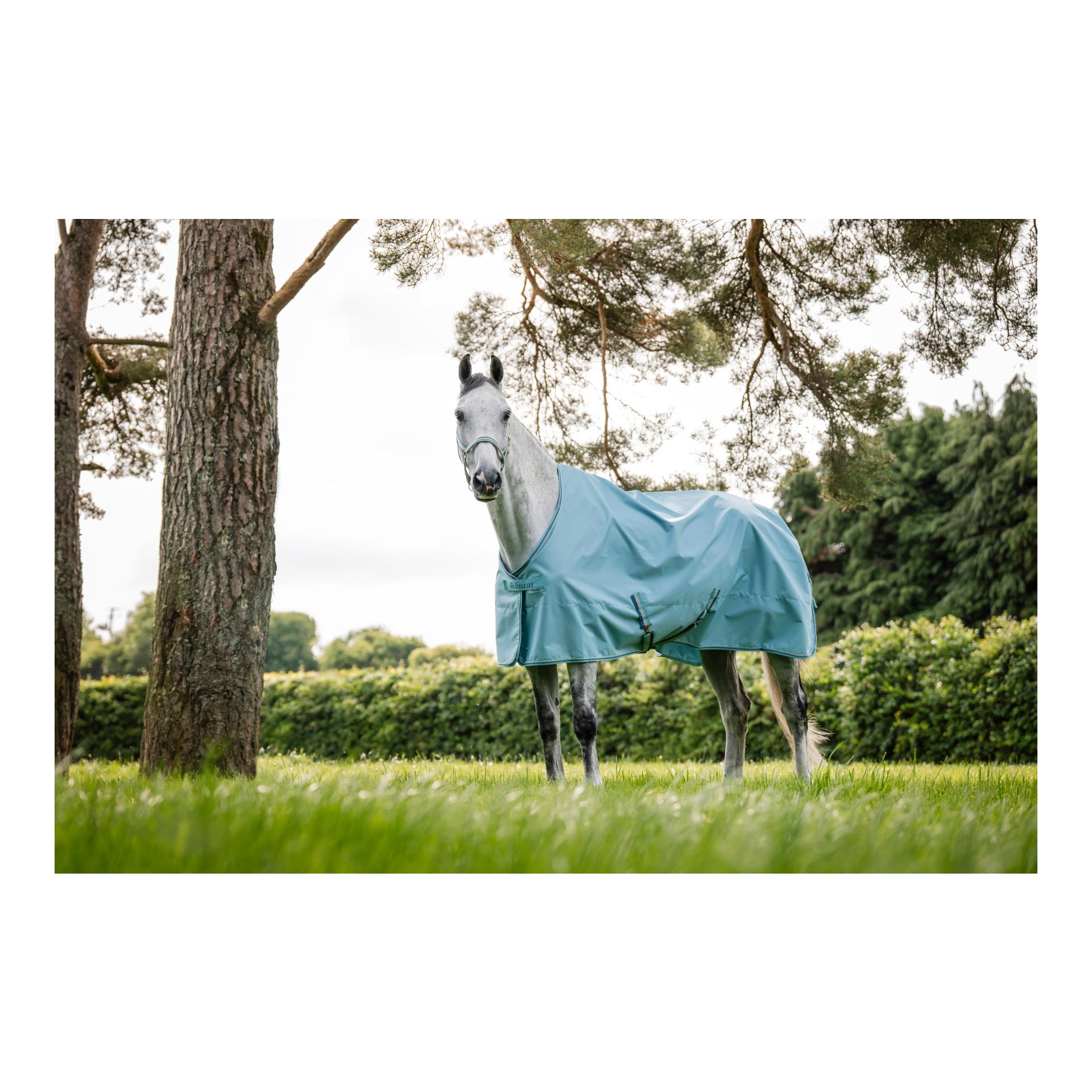 Weidedecke Freedom Turnout Light