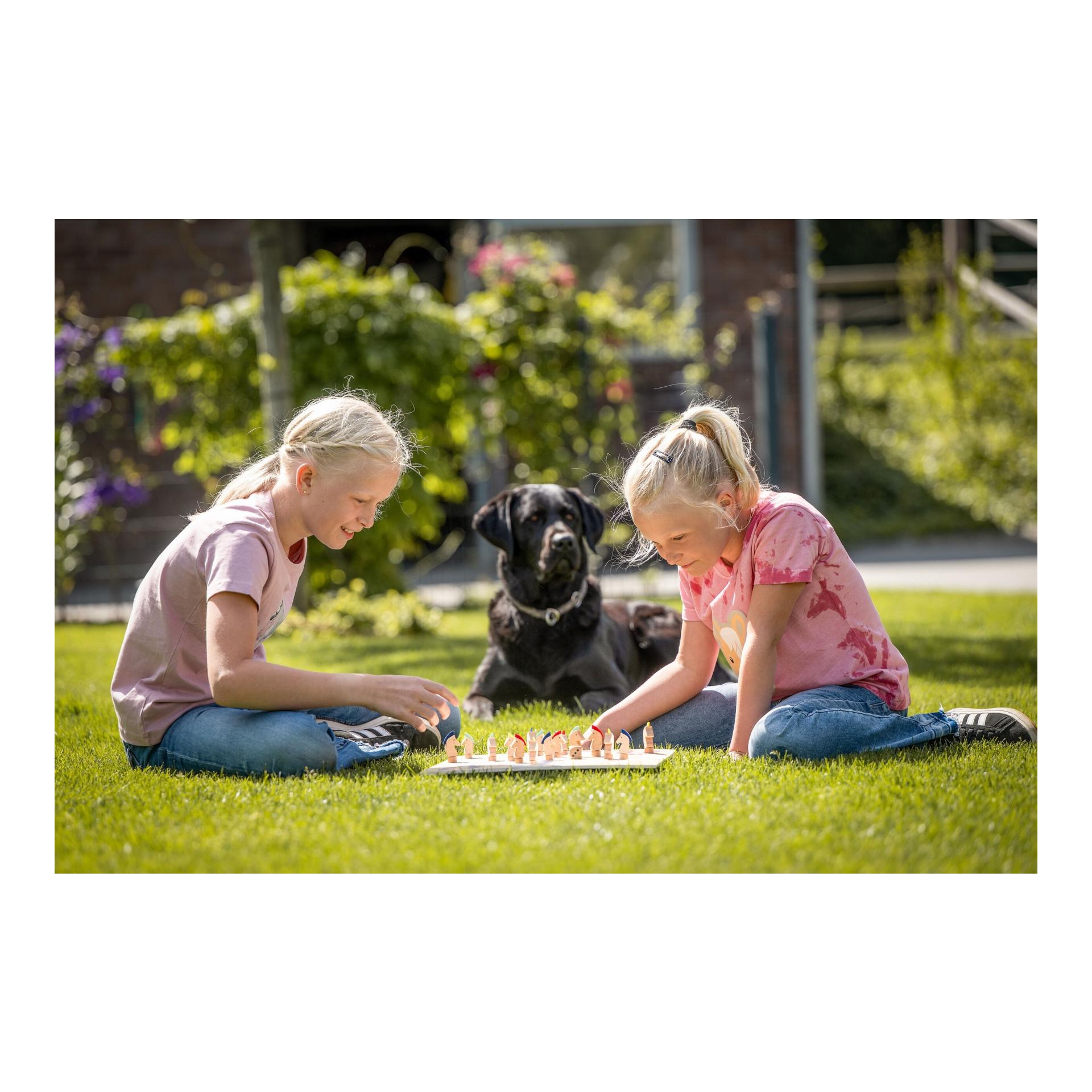 HKM Ab in den Stall - Spiel