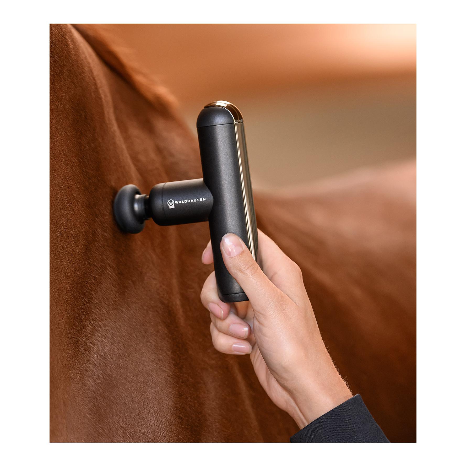 Health + Care Waldhausen Health + Care Massagegerät PocketRelax