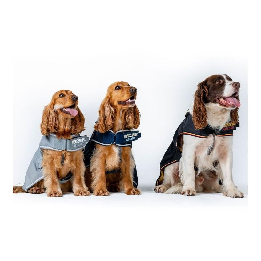 Hundedecke Newmarket