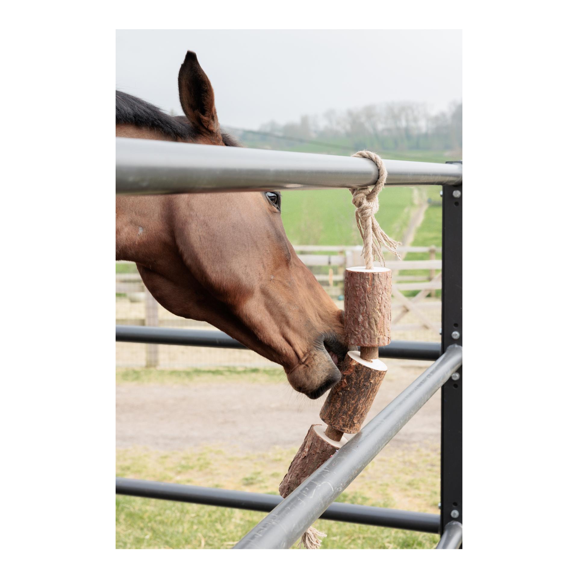 Kentucky Holz relax Pferdespielzeug Nature