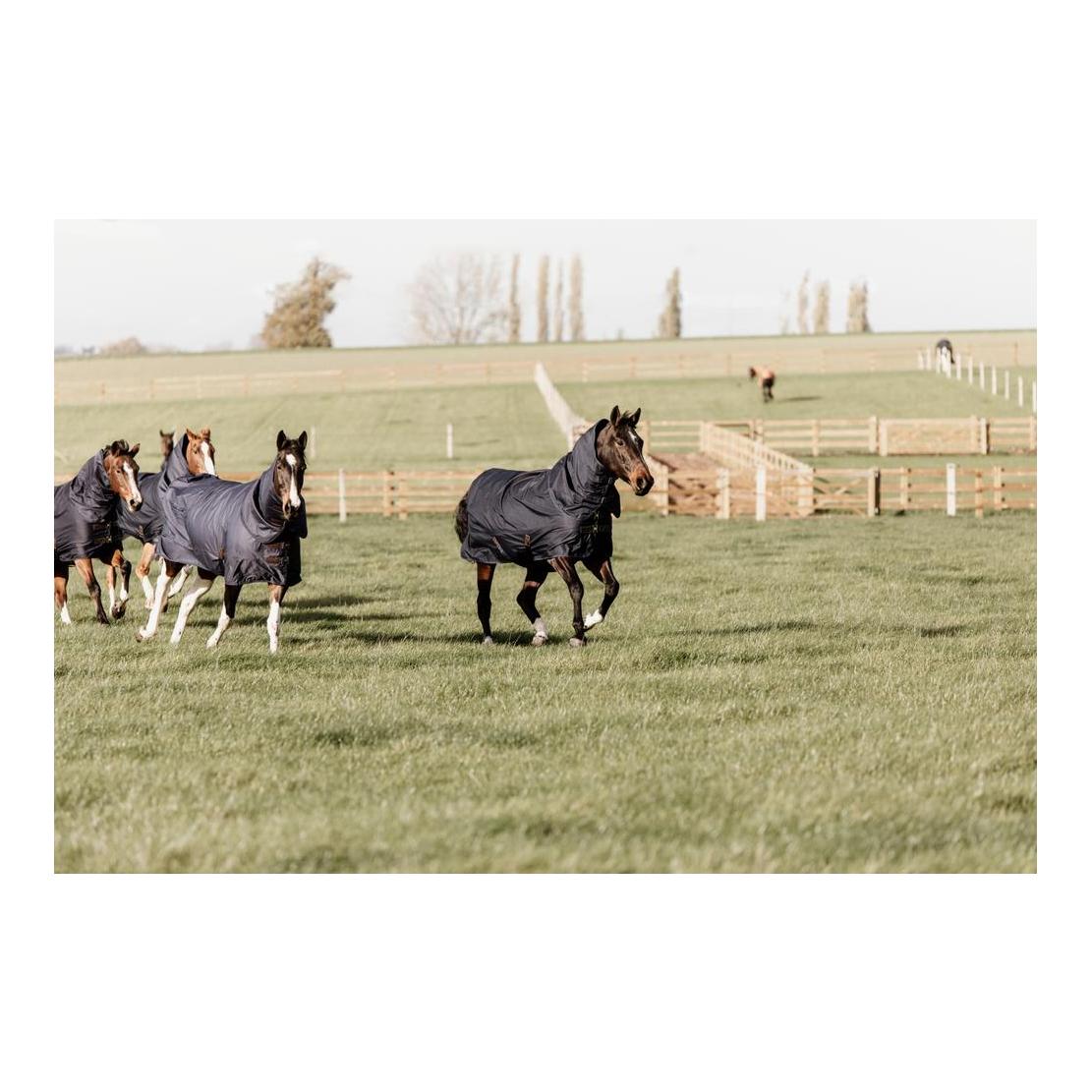 Weidedecke Turnout all weather Quick dry Fleece mit Halsteil 0 Gramm