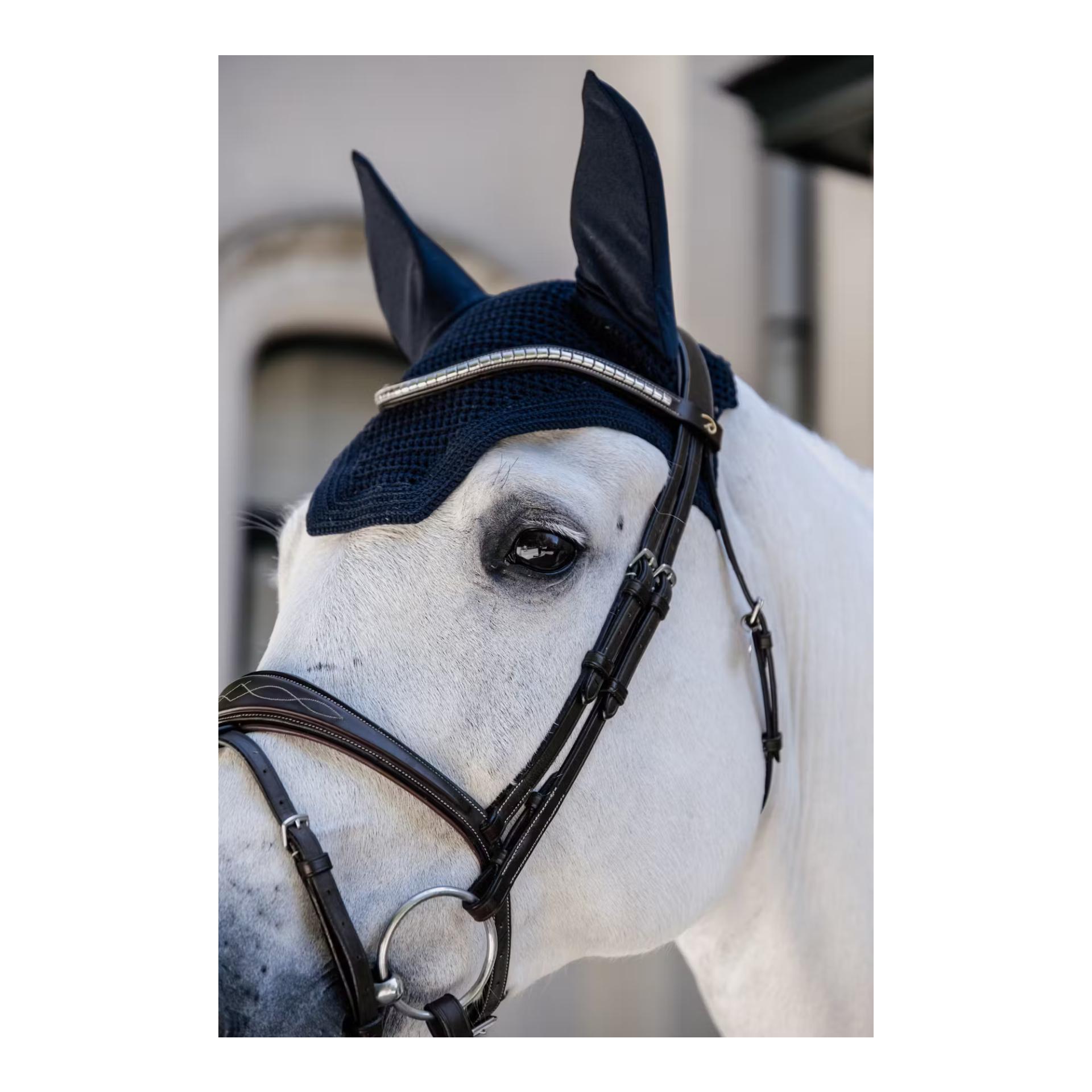 Fliegenhaube Wellington Large