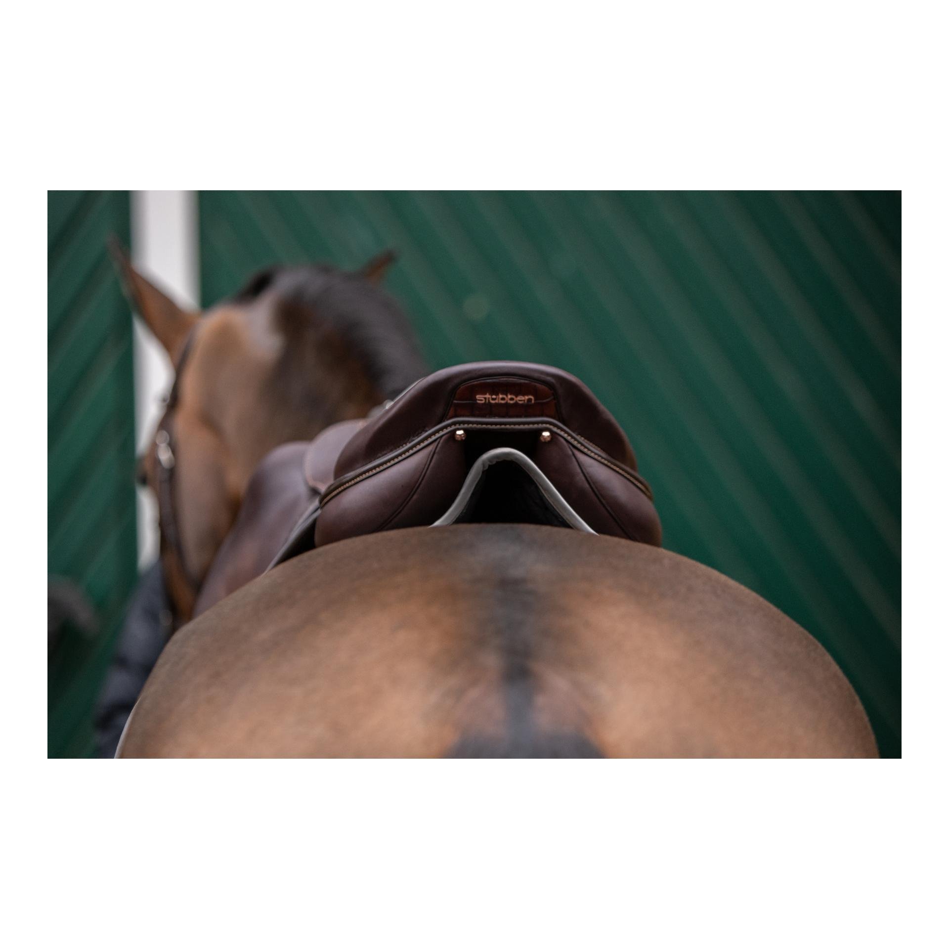 Stübben Streamline Schabracke Springen GEN2