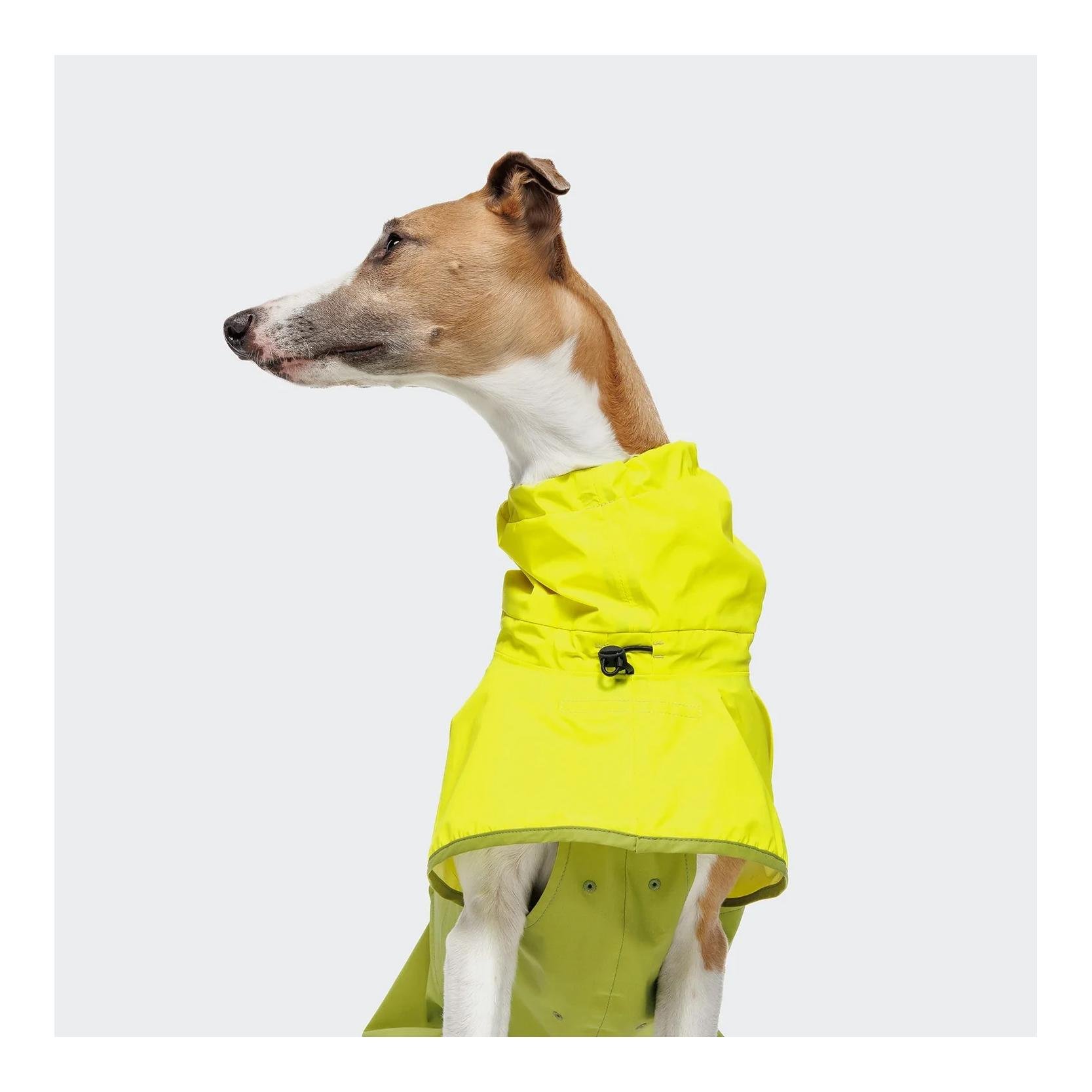 Hunderegenmantel Aktiv