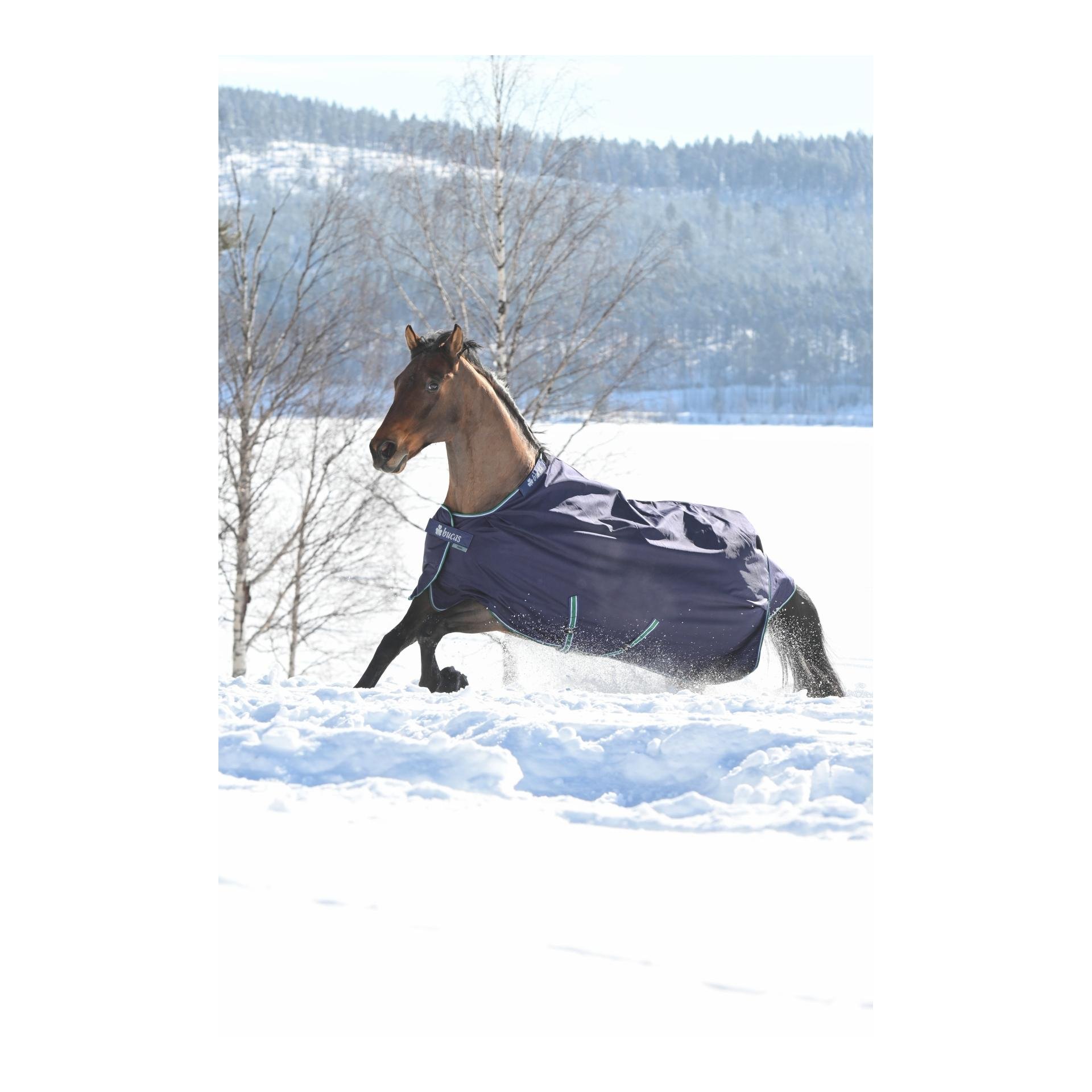 Bucas Winterdecke Smartex Extra Classic 300g - blau