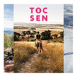 Uvex Tocsen Crashsensor - Black -