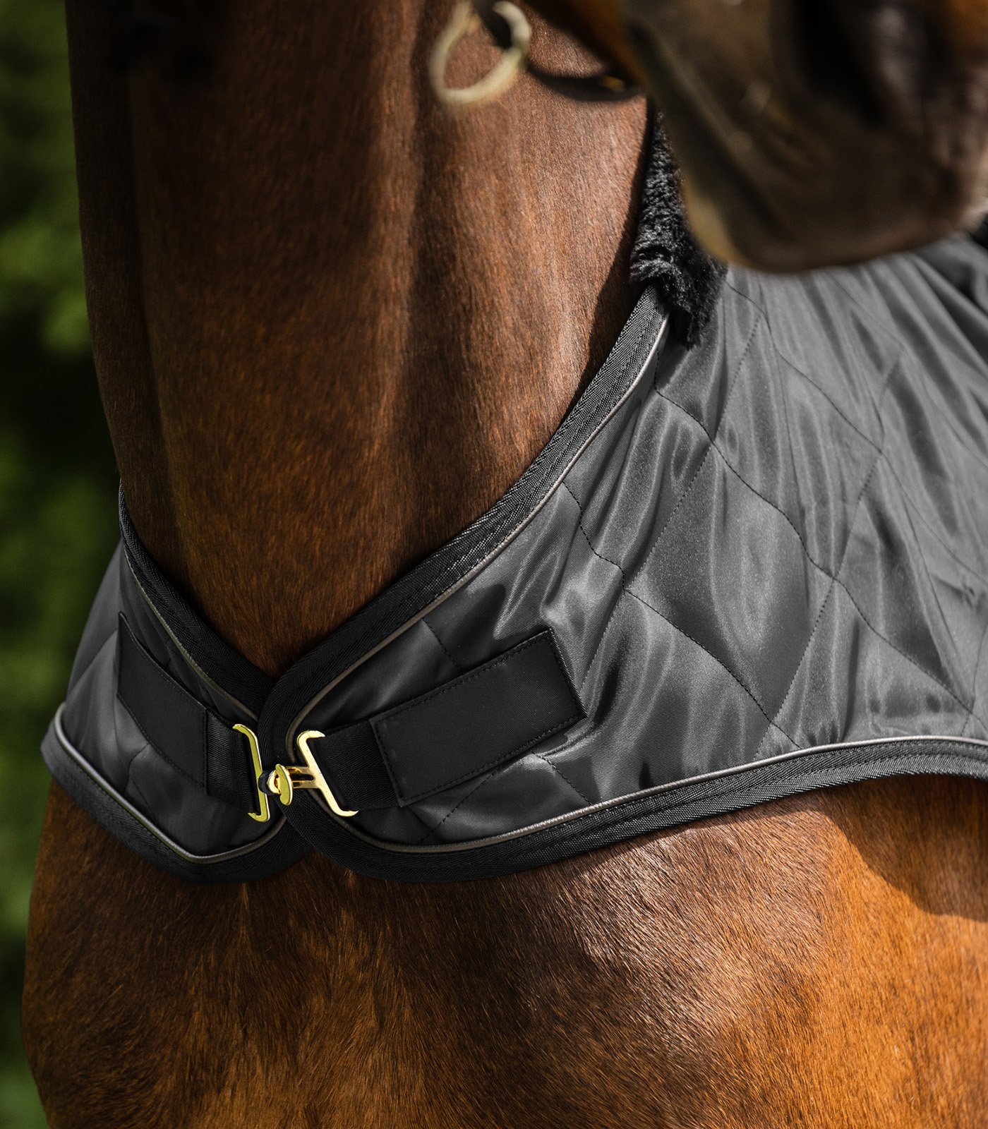 Waldhausen Führmaschinendecke Exclusive 50g