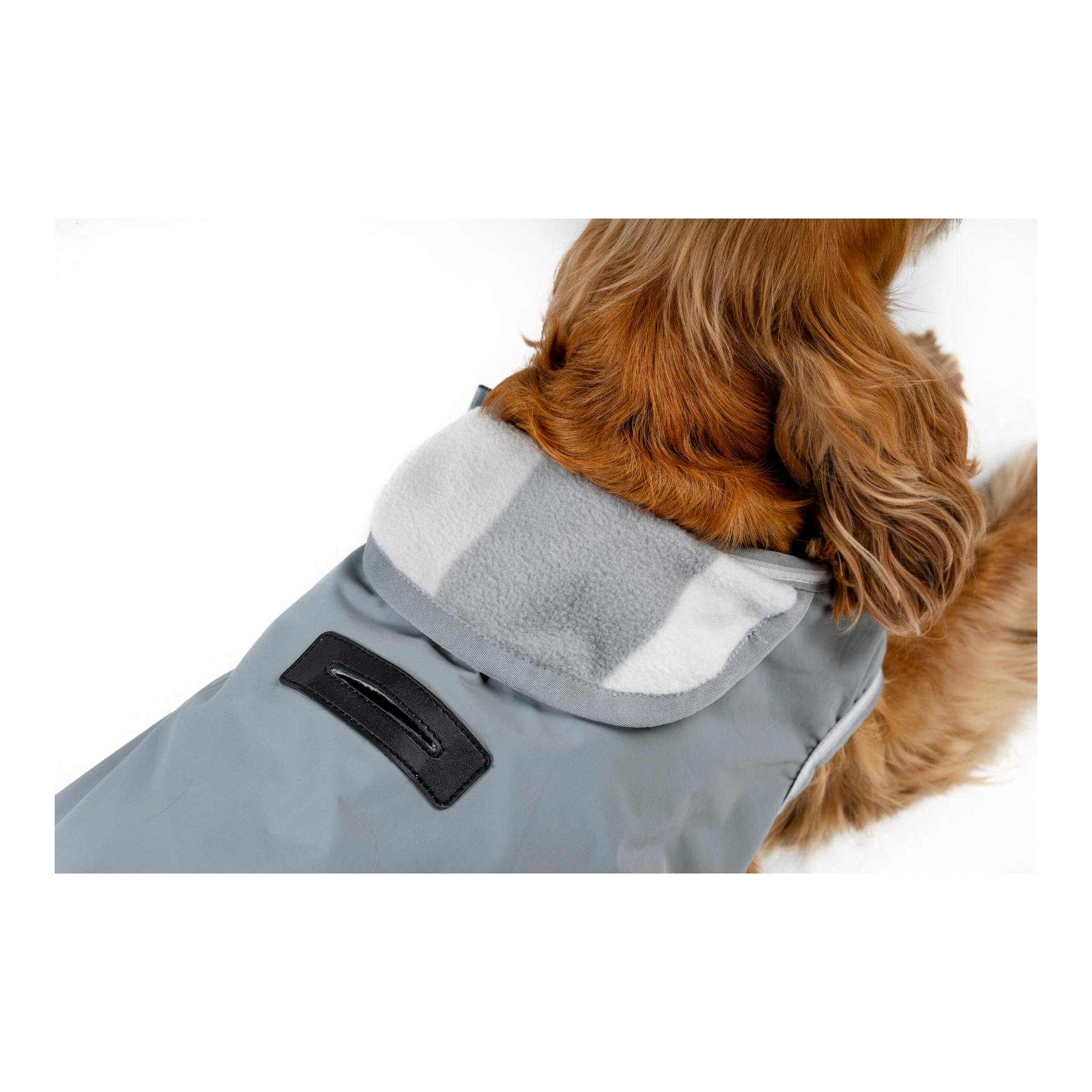 Hundedecke Newmarket