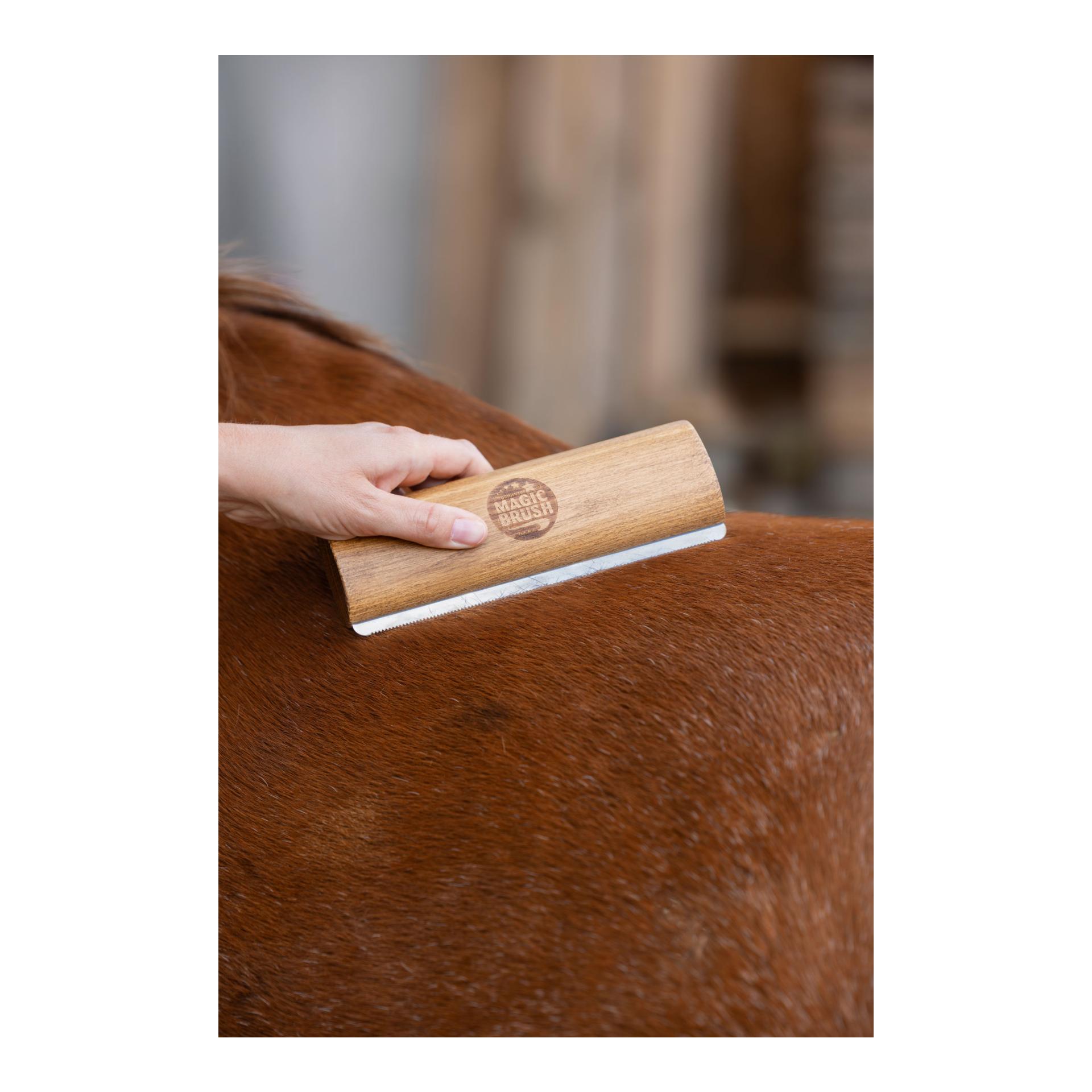 MagicBrush Magic Brush Fellboy