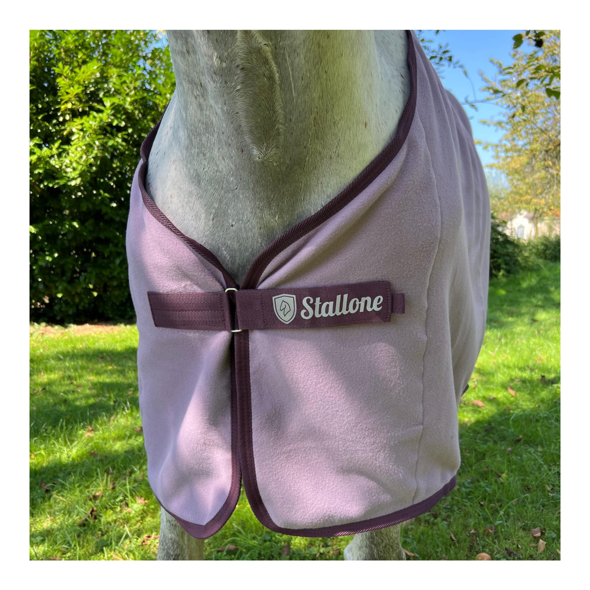 Abschwitzdecke Hauptner Pferd