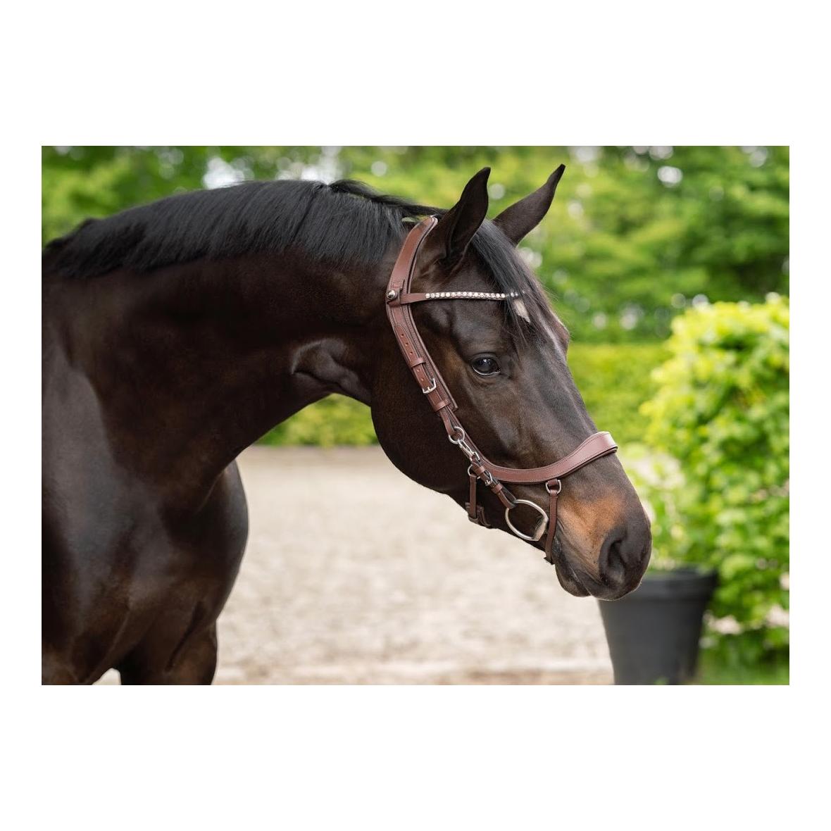 Bride FaySport – brun