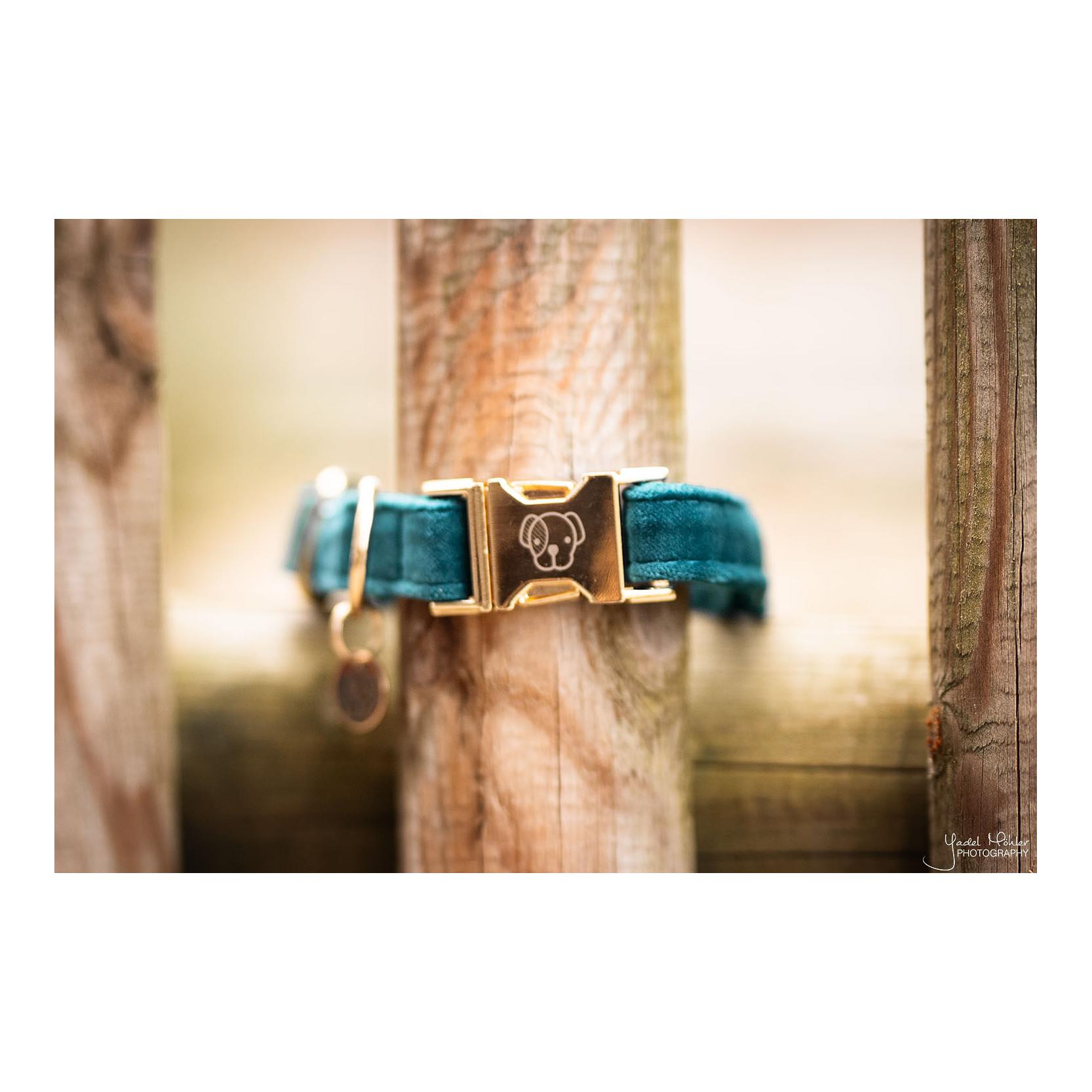 Hundehalsband Velvet - emerald Hundehalsband Velvet - emerald