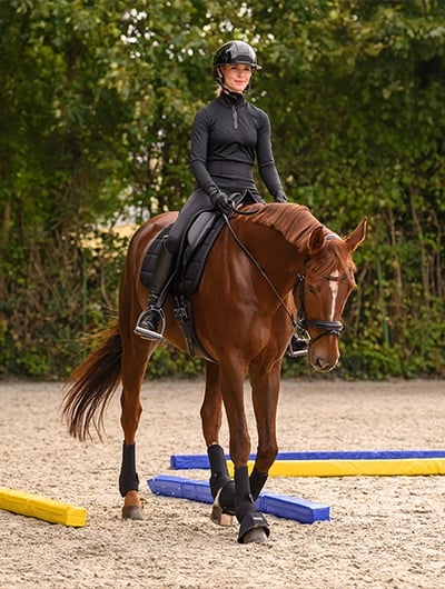 RS-ShopBanner_Waldhausen