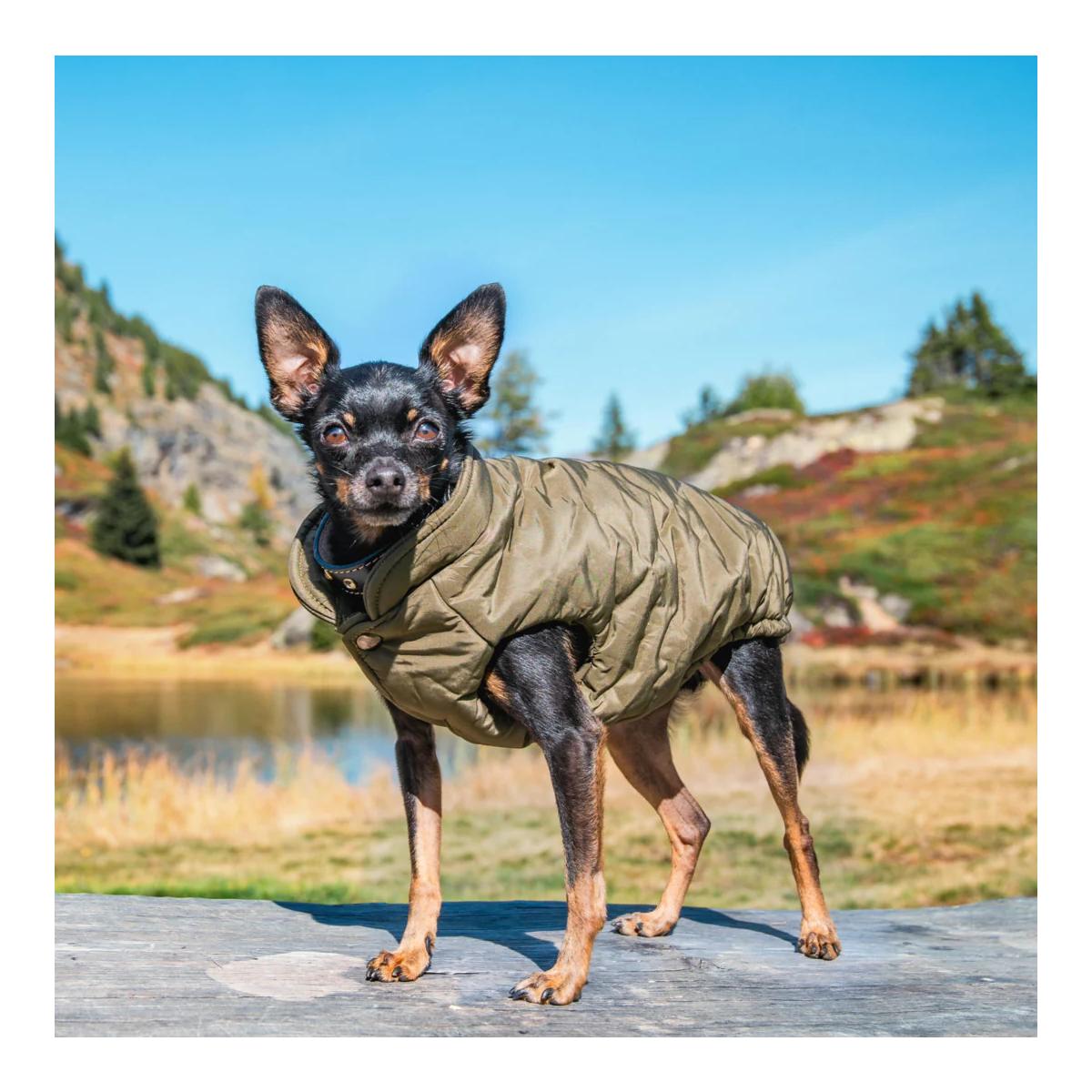 Hundemantel Kitzbühel Hundemantel Kitzbühel