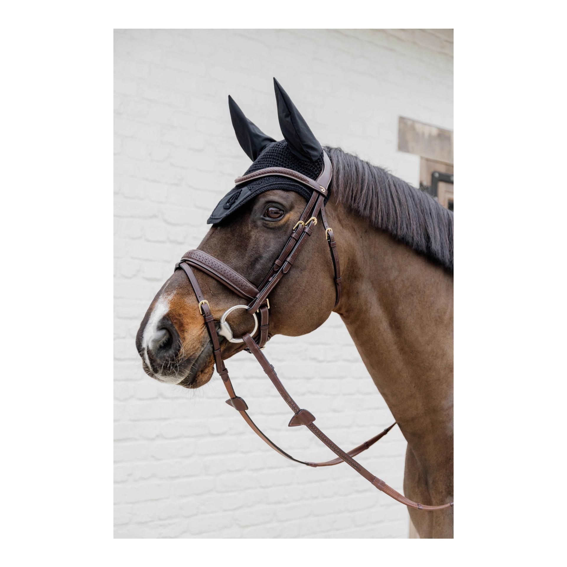 Zaumzeug geflochten mit schwedischen Reithalfter D Collection