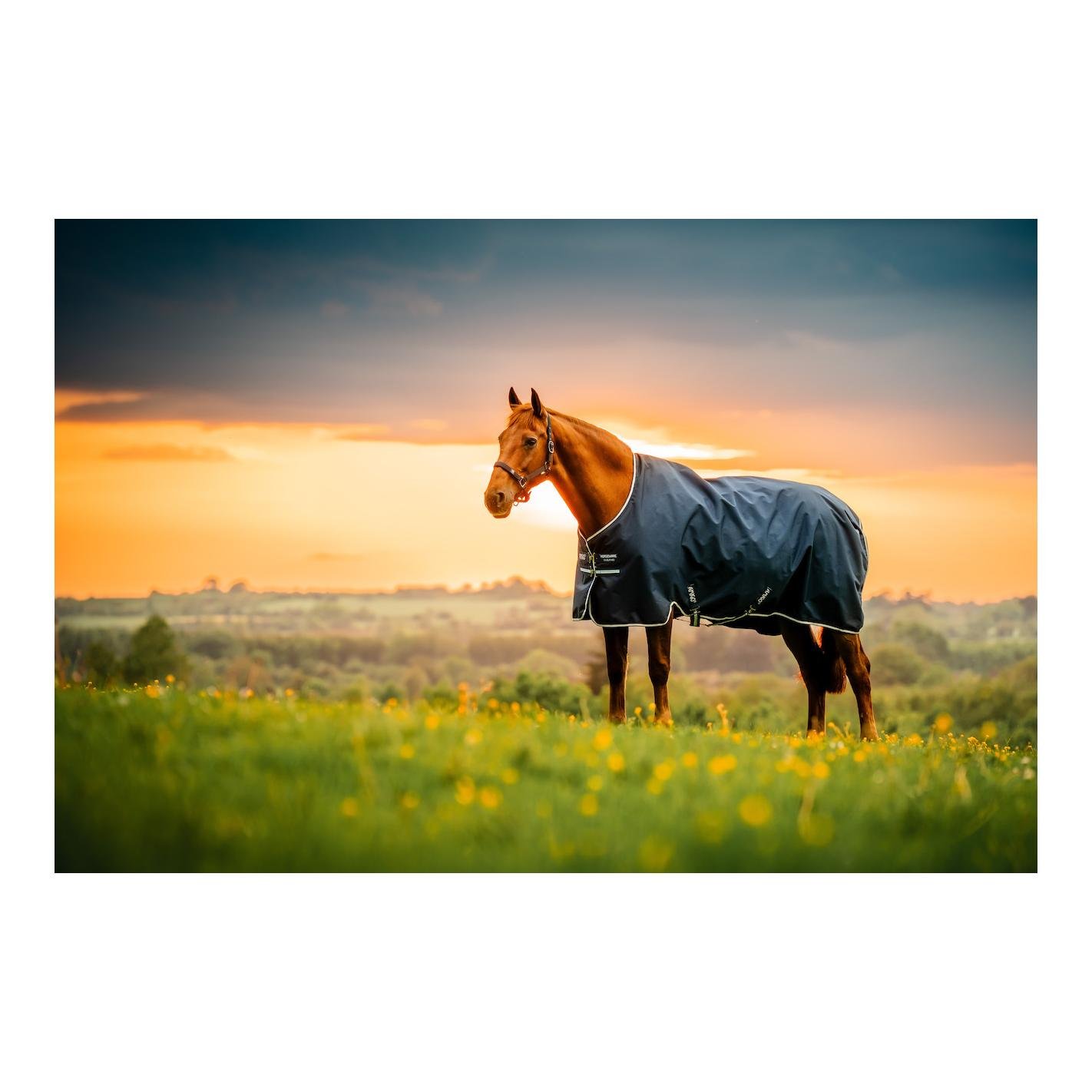Weidedecke Amigo Ripstop 900 0g Weidedecke Amigo Ripstop 900 0g