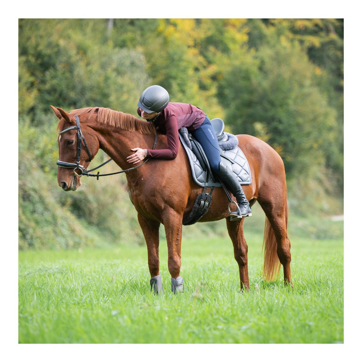 Funktionsshirt Elements langarm