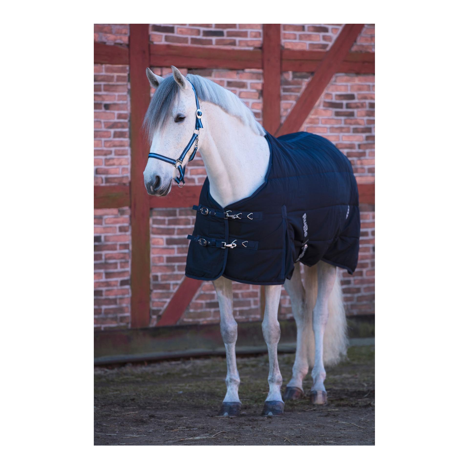 Stalldecke RugBe 150g Stalldecke RugBe 150g