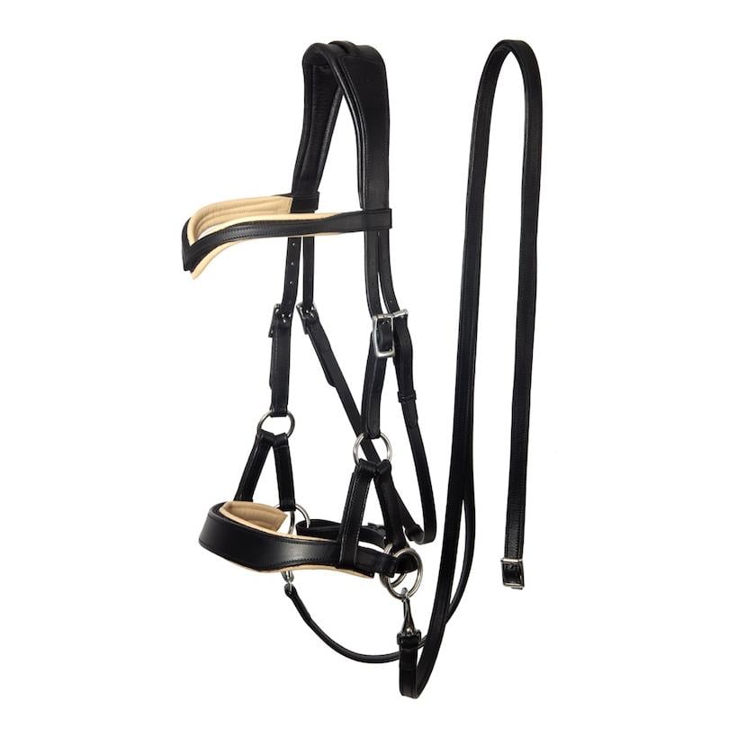 Bride sans mors Aruba avec coussinets colorés flexibles - noir