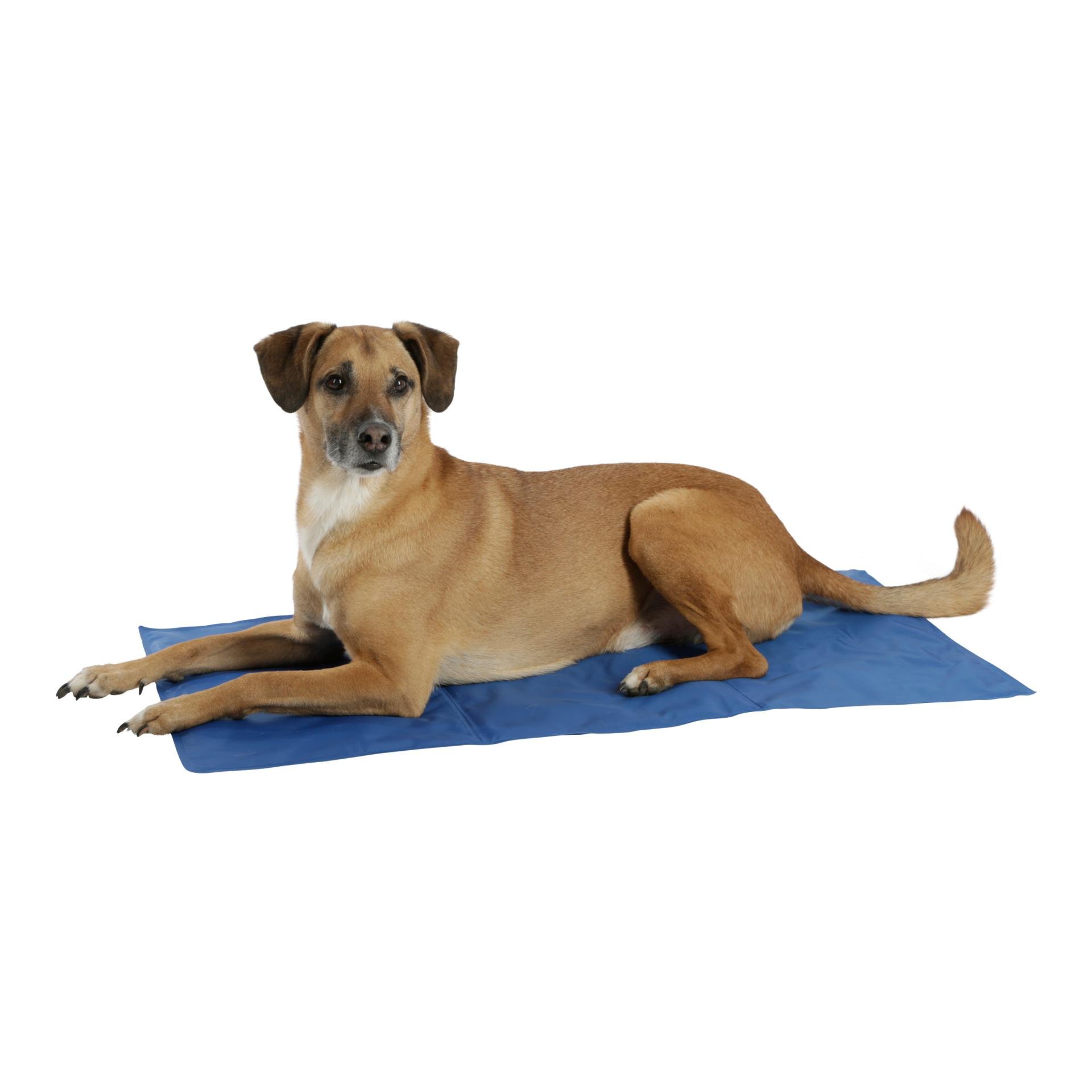 Kerbl Pet Kühlmatte für Hunde - blau