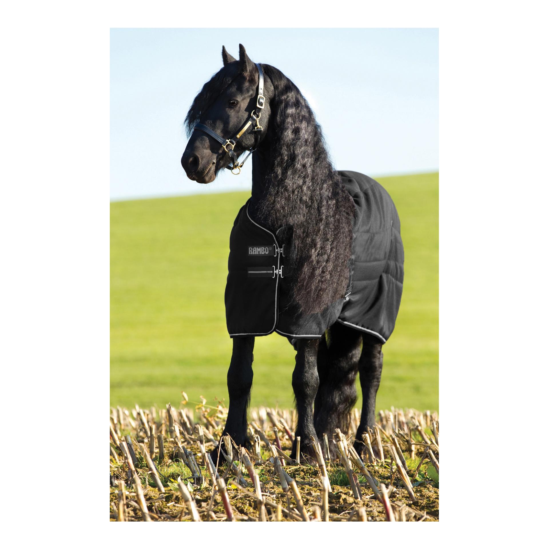 Stalldecke Rambo 200g 